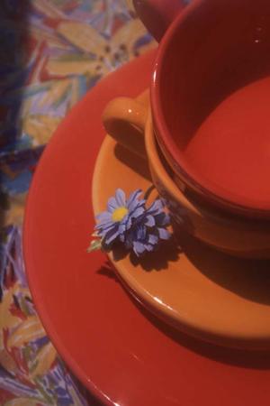 都内でニューボーンフォトを依頼するなら