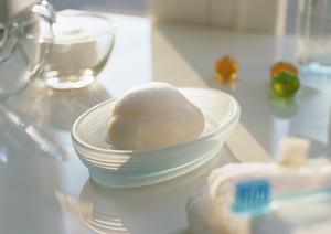 新幹線中央改札内で楽しむ高品質な土産と駅弁の宝庫：PLUSTA新大阪幹線中央改札内の魅力と特徴